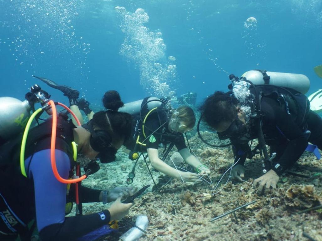 The Sagara Penida Nusa Penida Pokój zdjęcie